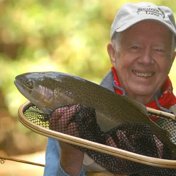 Brown Trout Fly Fishing in Clarksville, GA